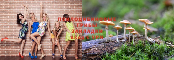 PSILOCYBIN Нязепетровск