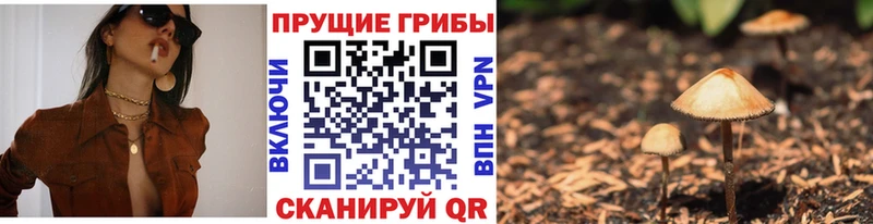 цены   Новотроицк  KRAKEN ONION  Галлюциногенные грибы Psilocybine cubensis 