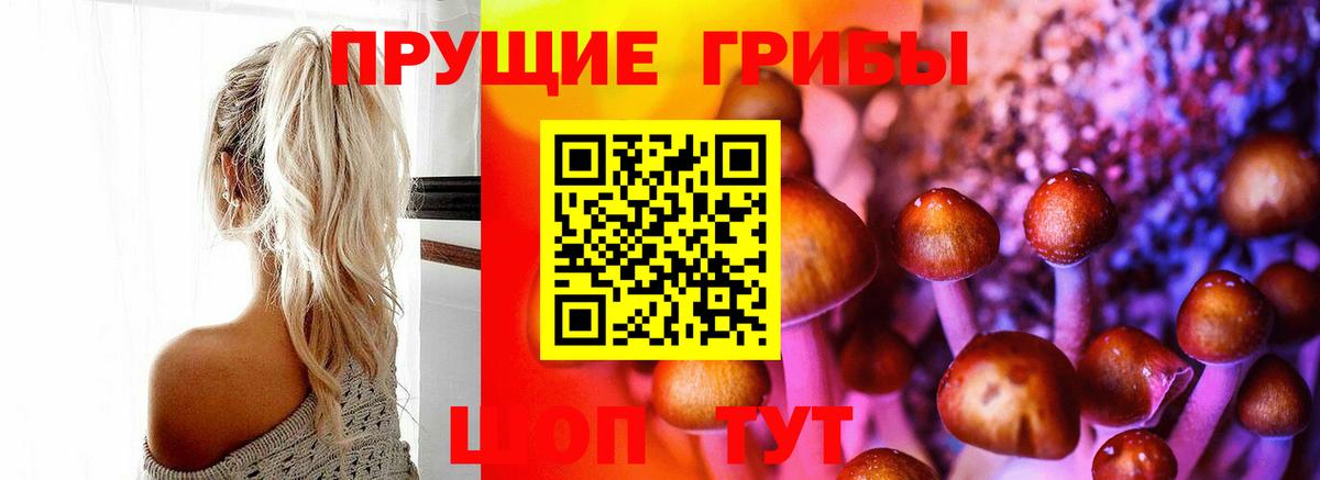 Псилоцибиновые грибы ЛСД  Вход с VPN  купить   Новотроицк 