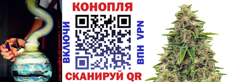 Каннабис планчик  где продают   Новотроицк 